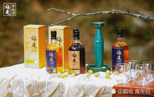 酒精飲料與脫醇酒 從傳統到現代的演變