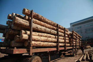 我國(guó)木材產(chǎn)品消費(fèi)量躍居世界前列與木材加工行業(yè)發(fā)展