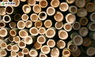 一站式服務，盡在中木商網 木材采購與資訊的首選平臺